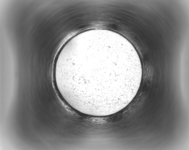 X0000103960861200810031203