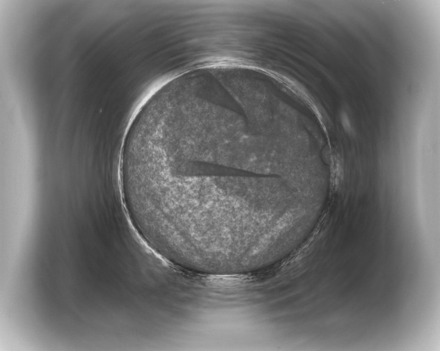 X0000103960863200810031203