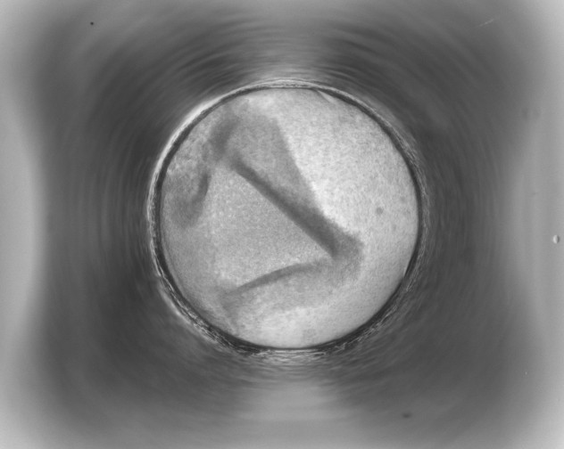 X0000103960864200810031203