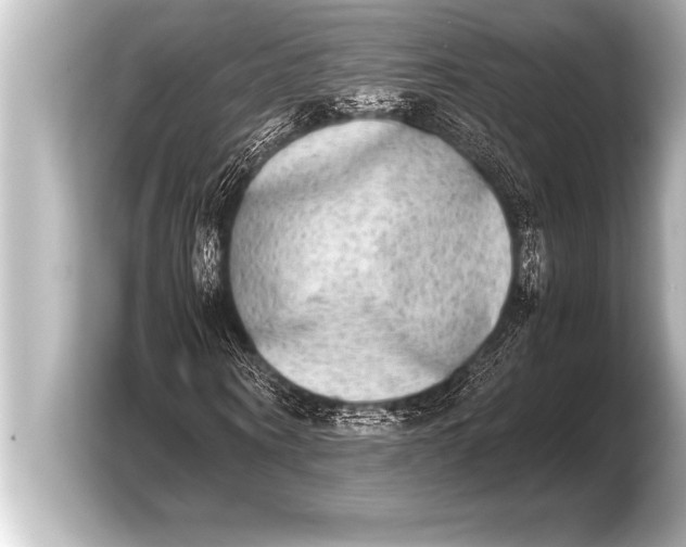 X0000103960866200810031202