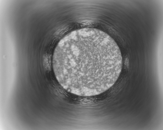 X0000103960868200810031202