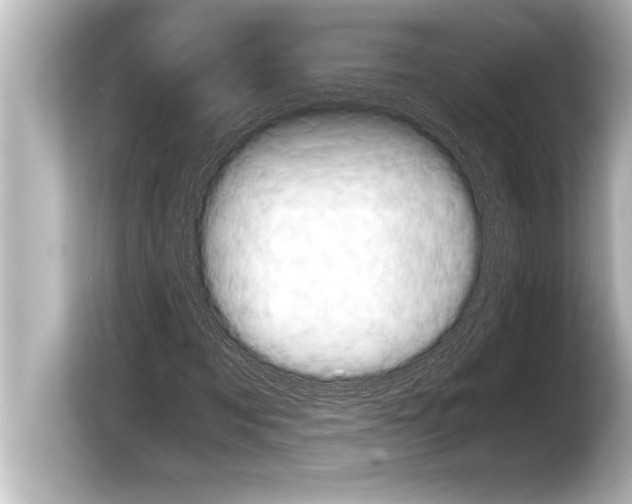 X0000103960869200810031202
