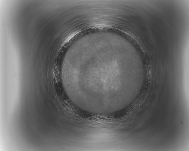 X0000103960871200810031202