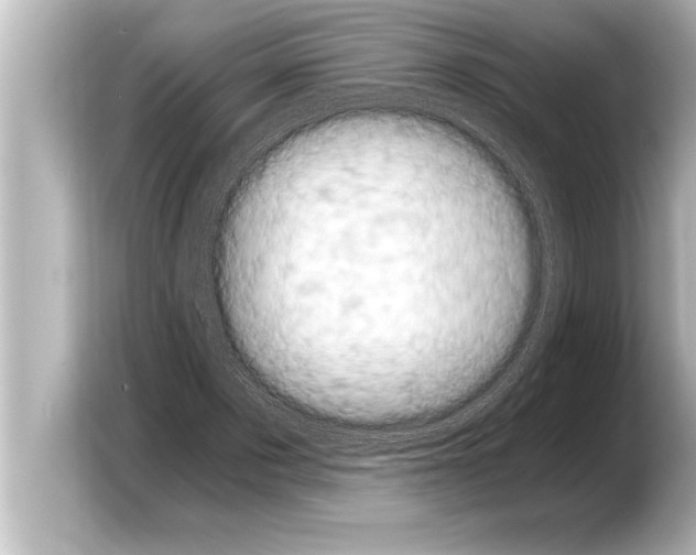 X0000103960873200810031202