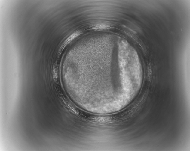 X0000103960874200810031202
