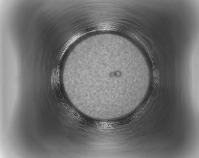X0000103960875200810031202