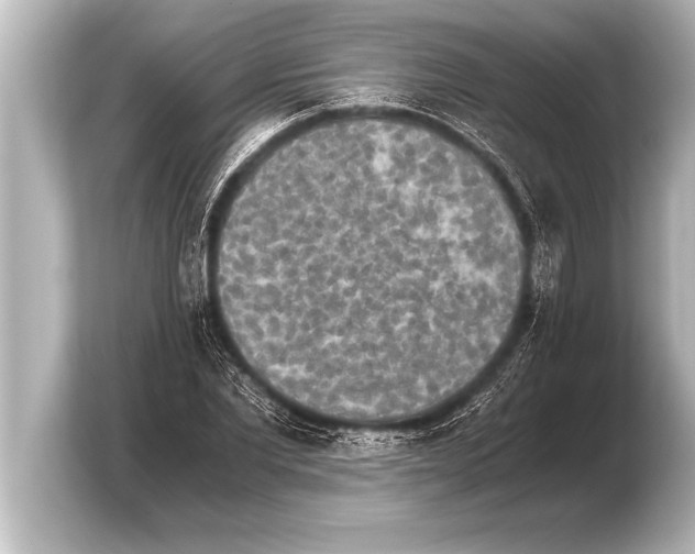X0000103960877200810031202