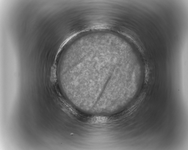 X0000103960878200810031202