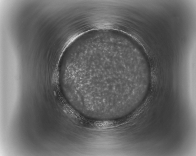 X0000103960879200810031202