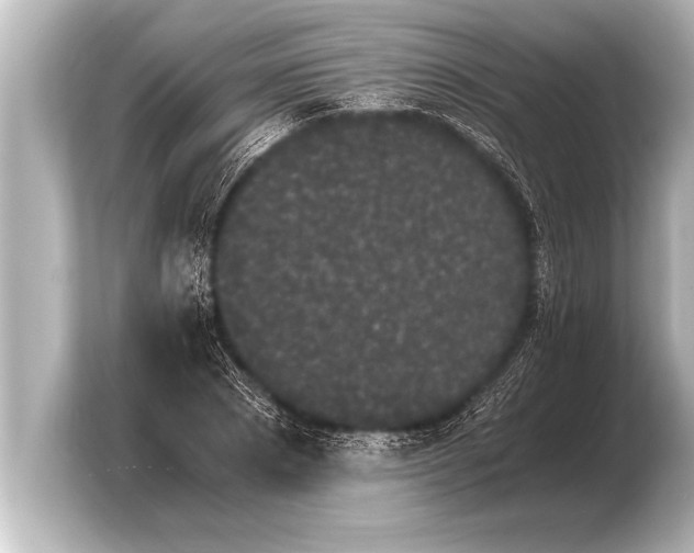 X0000103960881200810031202