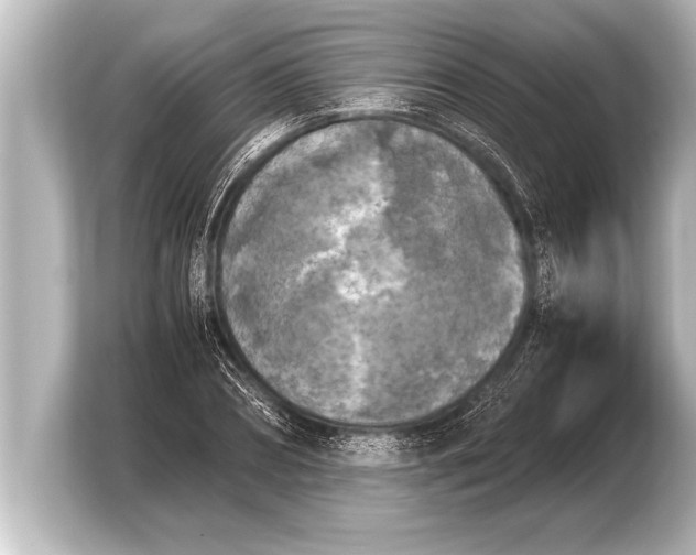 X0000103960882200810031202