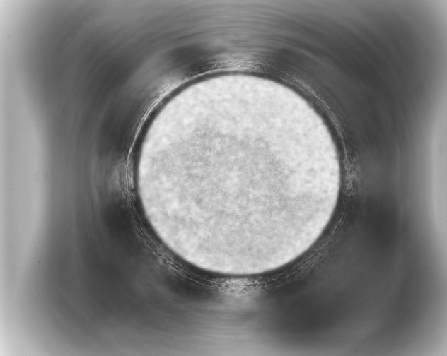 X0000103960883200810031202