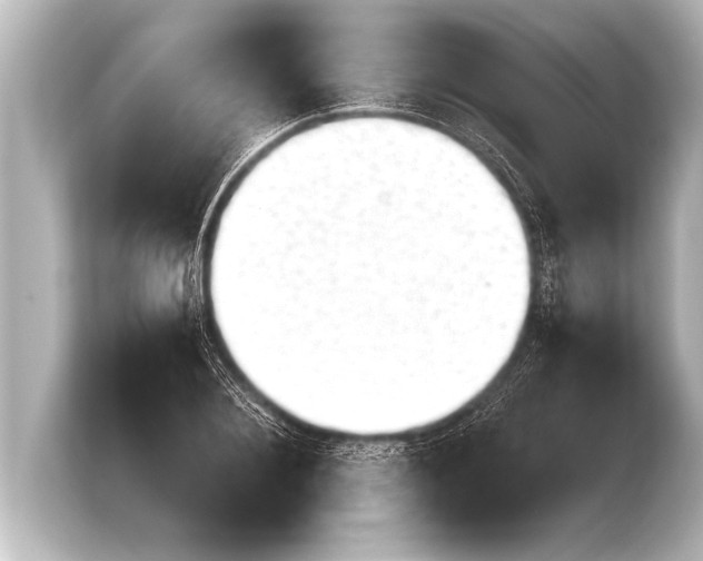 X0000103960884200810031202