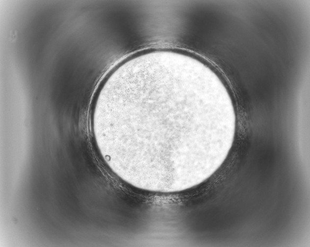 X0000103960887200810031202