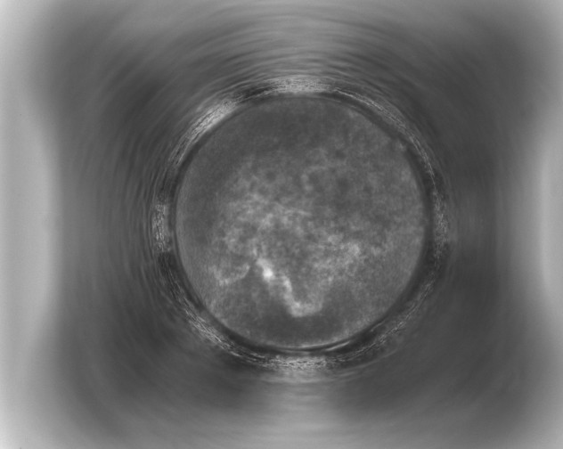 X0000103960889200810031202
