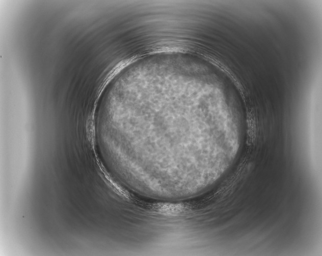X0000103960890200810031202