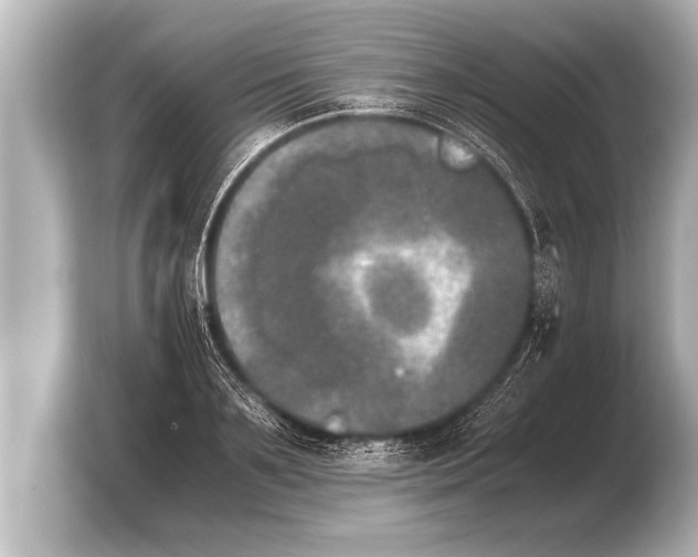 X0000103960891200810031202