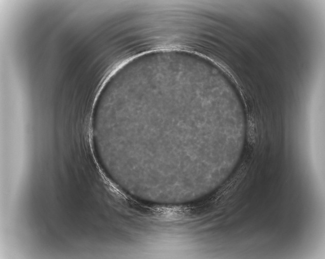 X0000103960895200810031202