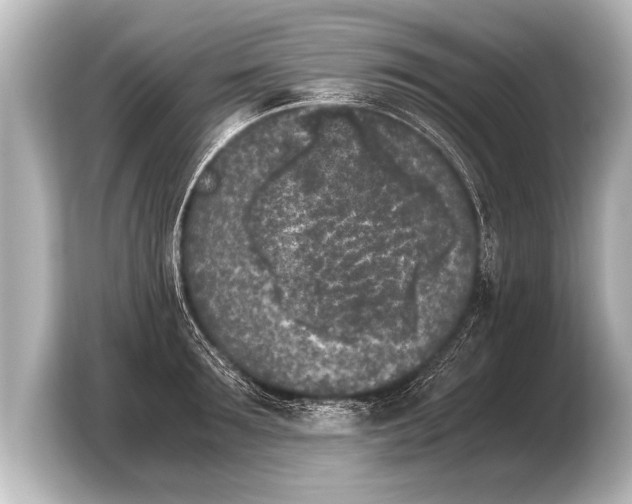 X0000103960899200810031201