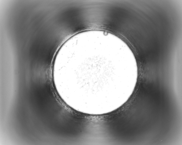 X0000103960900200810031201
