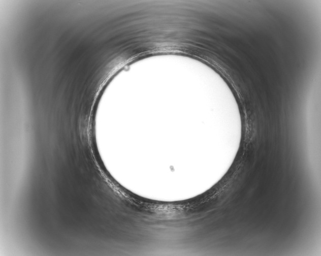 X0000103960901200810031201