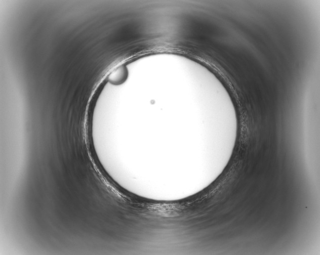X0000103960902200810031201