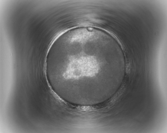 X0000103960903200810031201