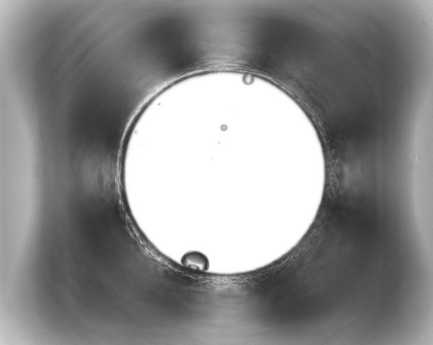 X0000103960904200810031201