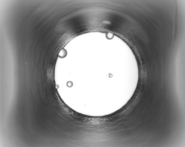 X0000103960905200810031201
