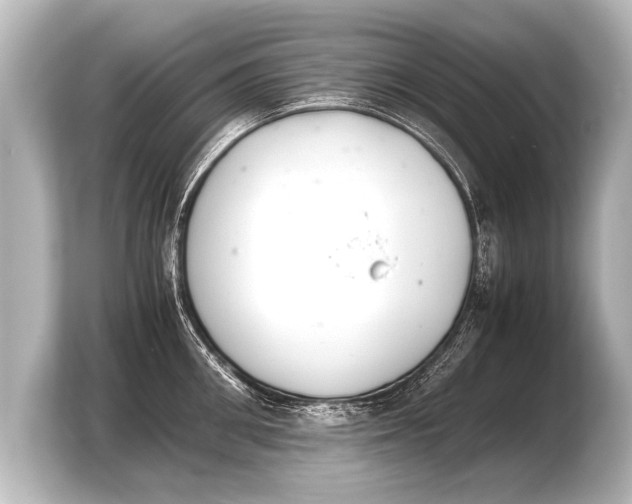 X0000103960906200810031201