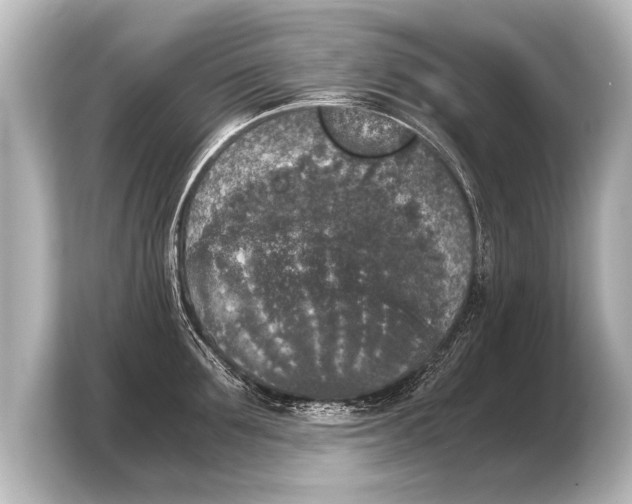 X0000103960907200810031201