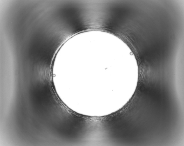 X0000103960908200810031201