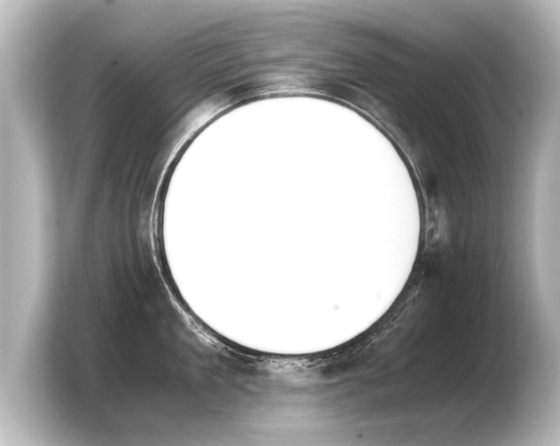 X0000103960909200810031201
