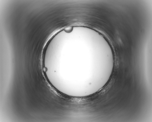 X0000103960910200810031201