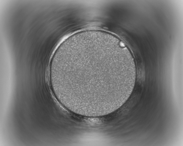 X0000103960911200810031201