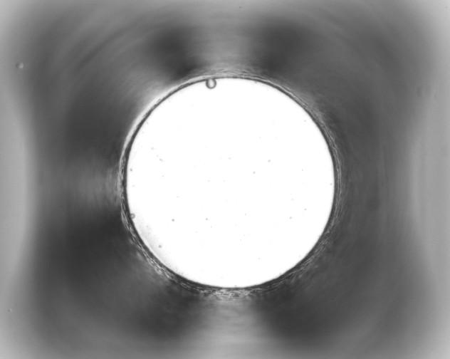 X0000103960912200810031201