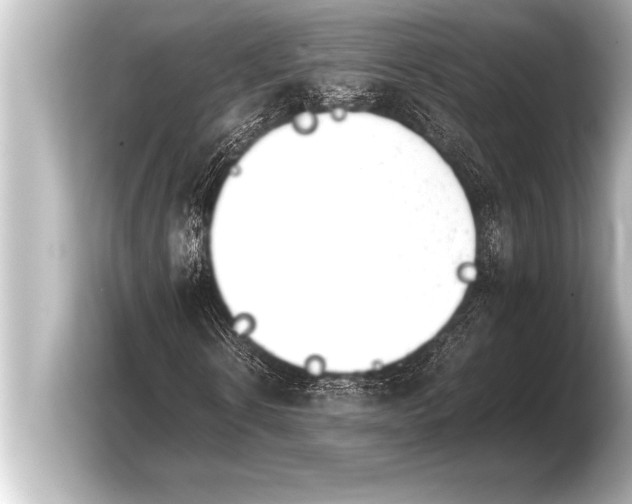 X0000103960914200810031201