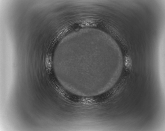 X0000103960915200810031201