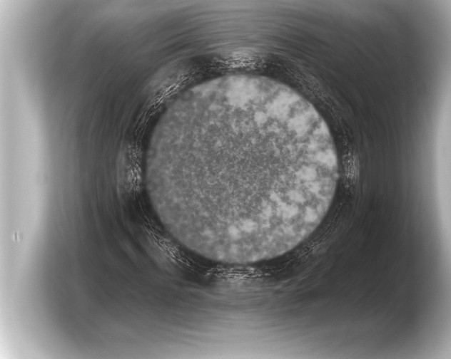 X0000103960916200810031201