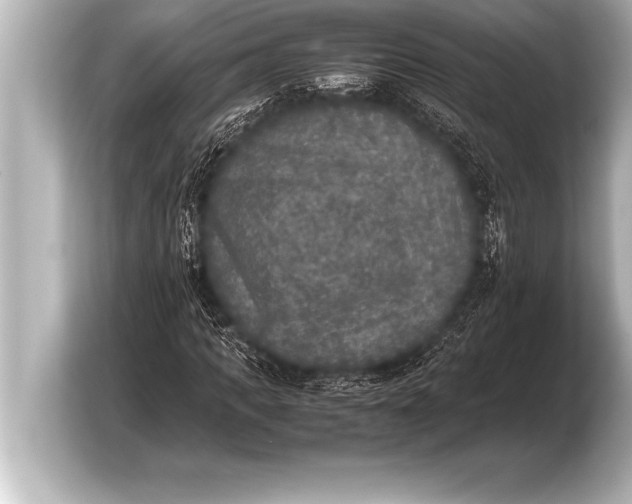 X0000103960917200810031201