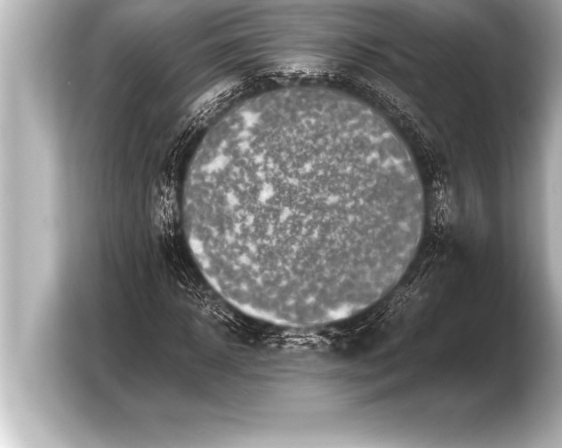 X0000103960918200810031201