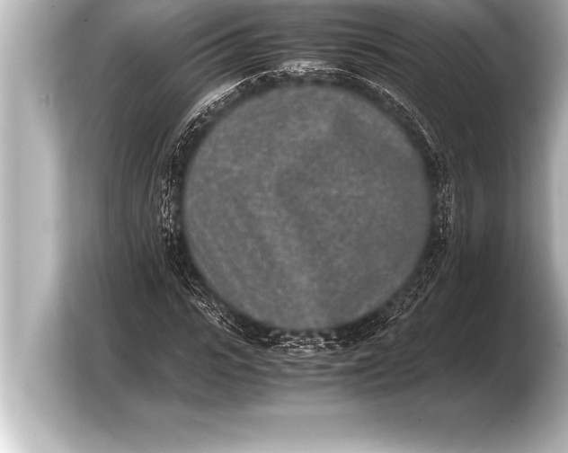X0000103960919200810031201