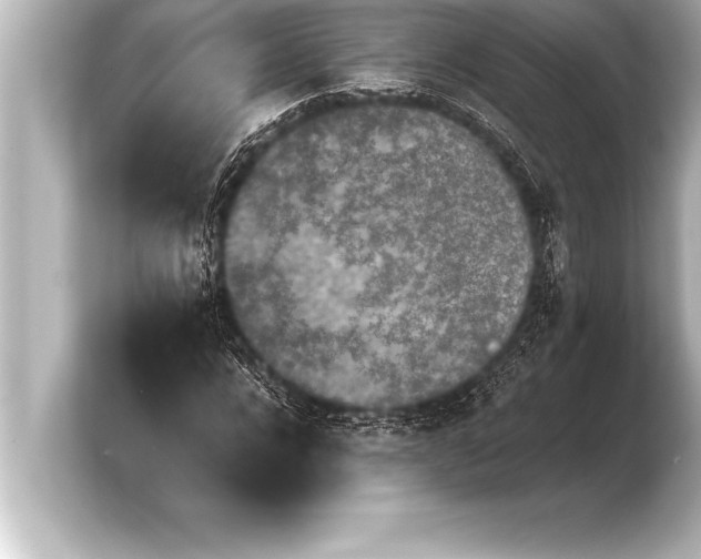 X0000103960920200810031201