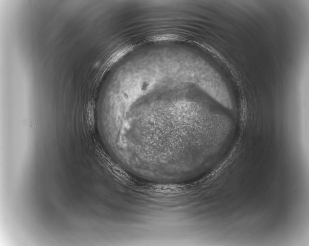 X0000103960921200810031201