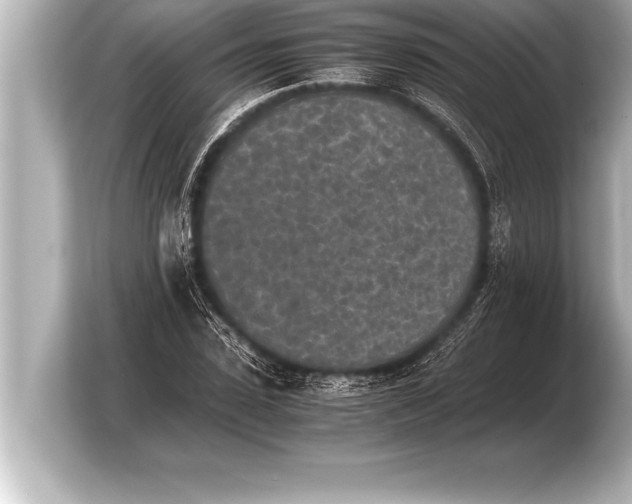 X0000103960923200810031201