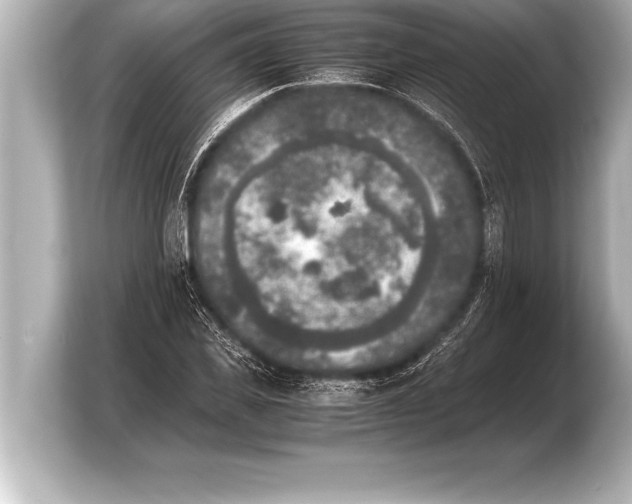 X0000103960925200810031201