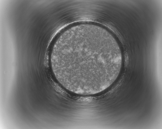 X0000103960926200810031201