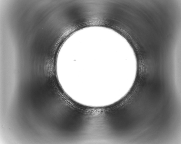 X0000103960930200810031201