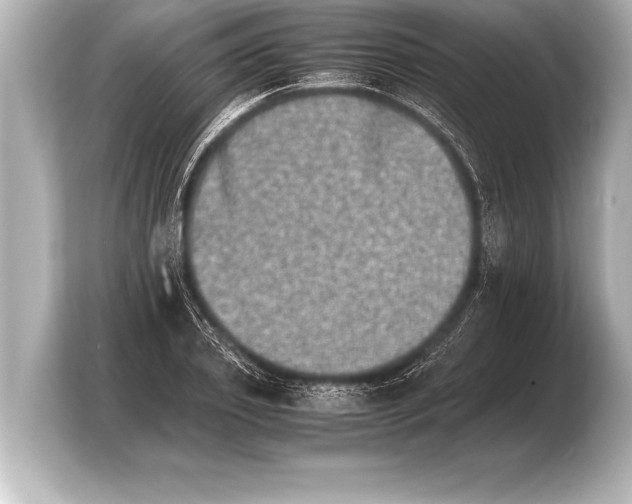 X0000103960933200810031201