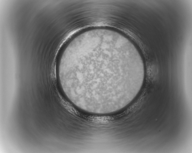 X0000103960934200810031201